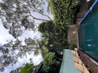 Expert pruning services