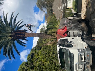 Specialist pruning
